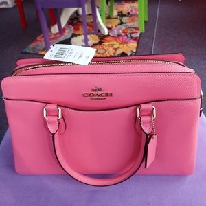 New coach Darcy carryall